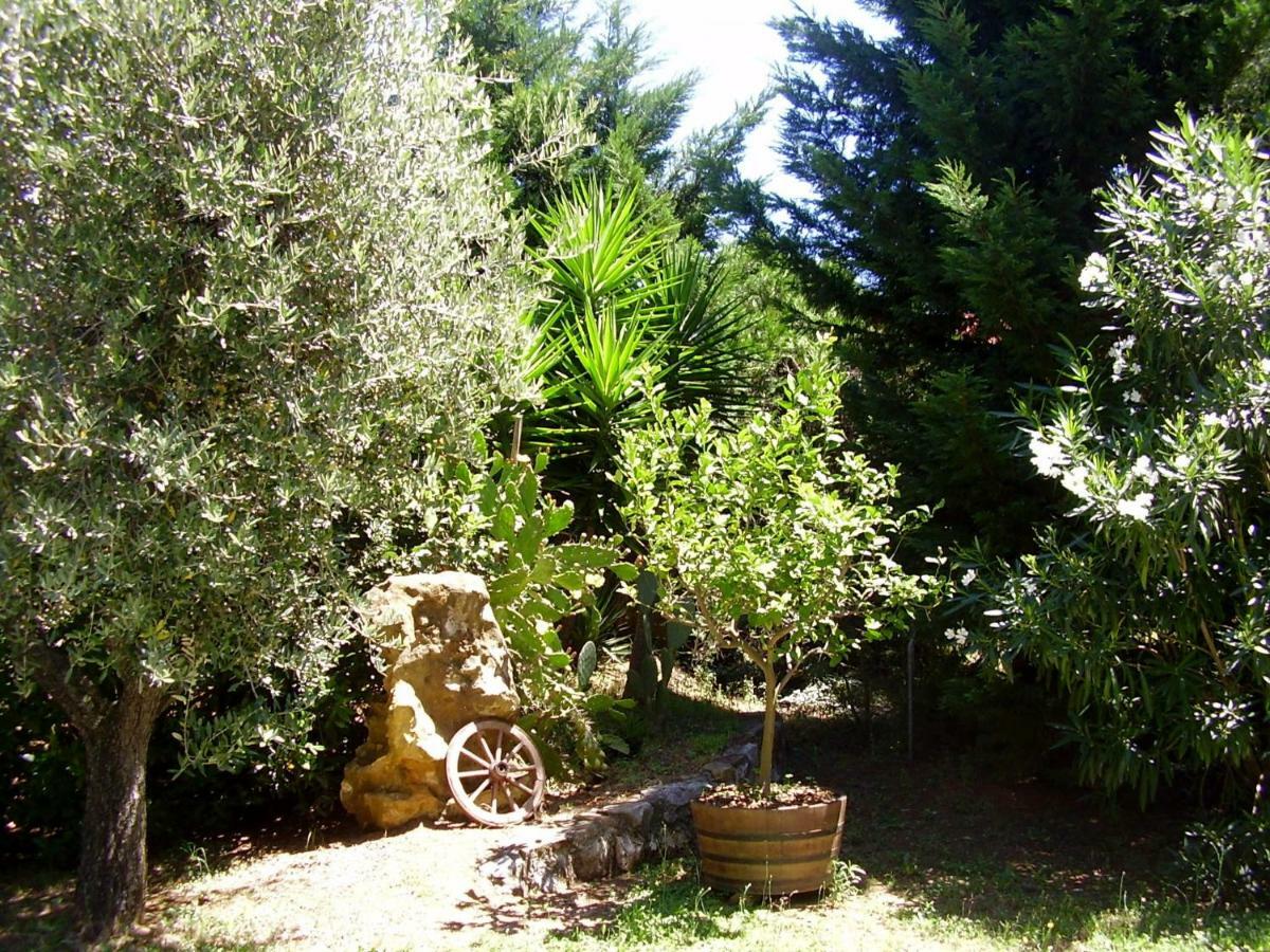 Podere Belvedere Cecina Cecina  Extérieur photo
