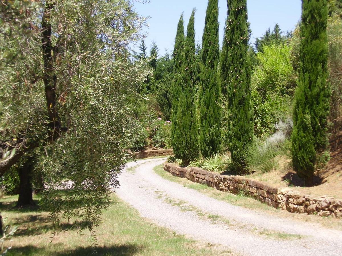 Podere Belvedere Cecina Cecina  Extérieur photo