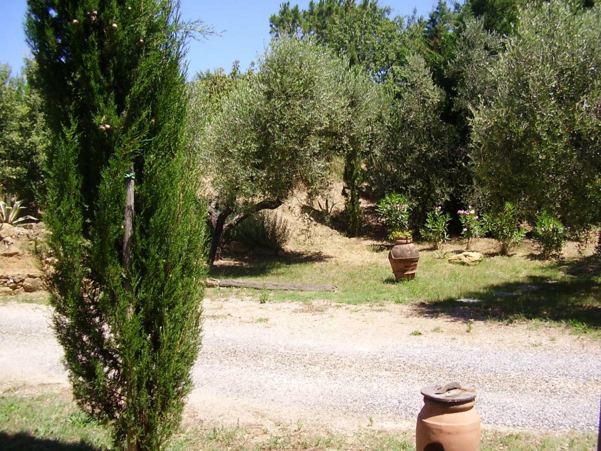 Podere Belvedere Cecina Cecina  Extérieur photo
