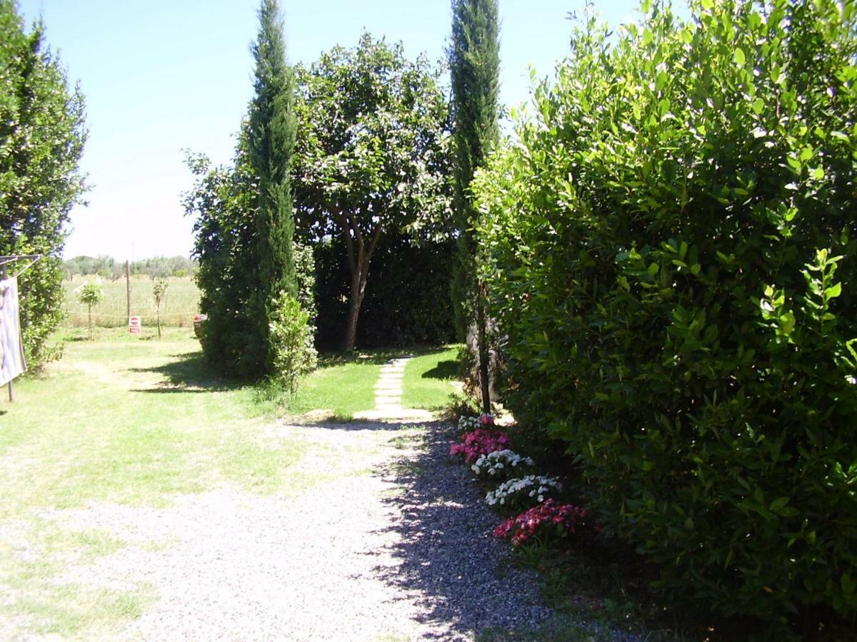 Podere Belvedere Cecina Cecina  Extérieur photo